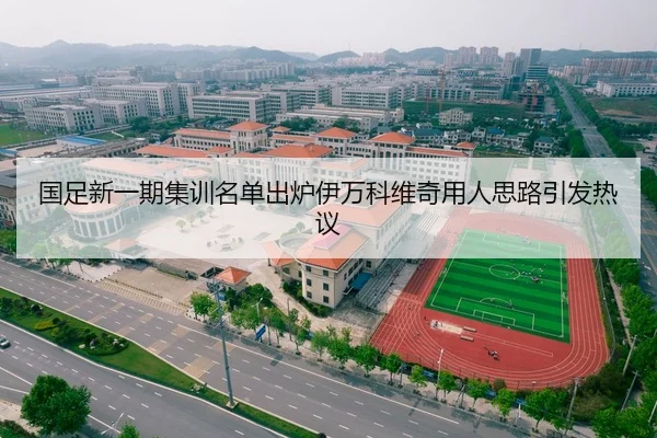 国足新一期集训名单出炉伊万科维奇用人思路引发热议